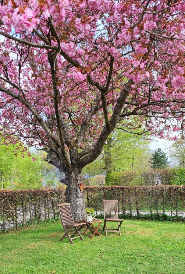 Ferienhaus Kirschbluete Monschau Ngoại thất bức ảnh